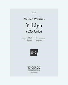 Y Llyn (The Lake) — Meirion Williams