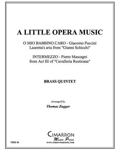 A Little Opera Music — Various