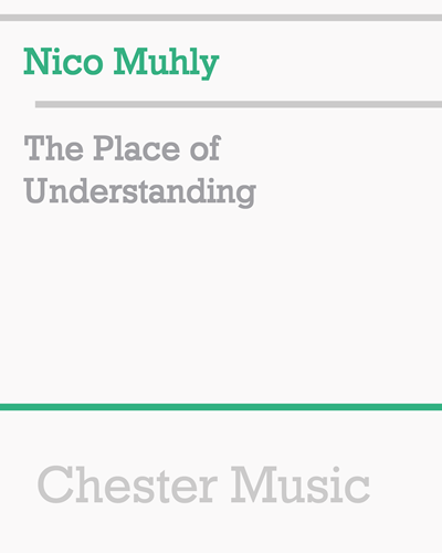 The Place of Understanding — 尼科·穆利