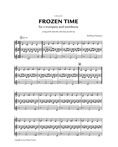 Frozen Time — Anthony Fiumara