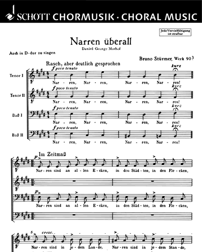 Narren überall — Bruno Stürmer