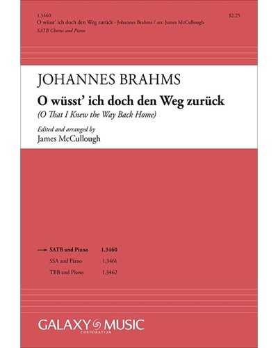 O wüsst' ich doch den Weg zurück, op. 63 no. 8 — Johannes Brahms