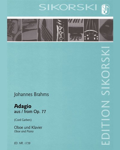 Adagio (After the Violin Concerto in D major, op. 77) — 勃拉姆斯