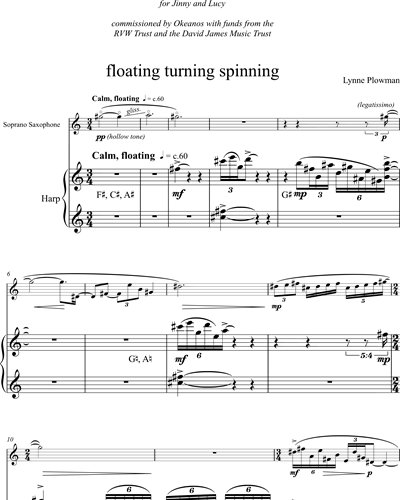 floating turning spinning — Lynne Plowman