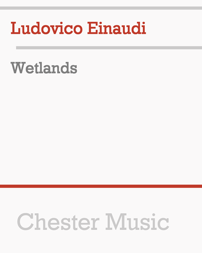 Wetlands — 艾奥迪