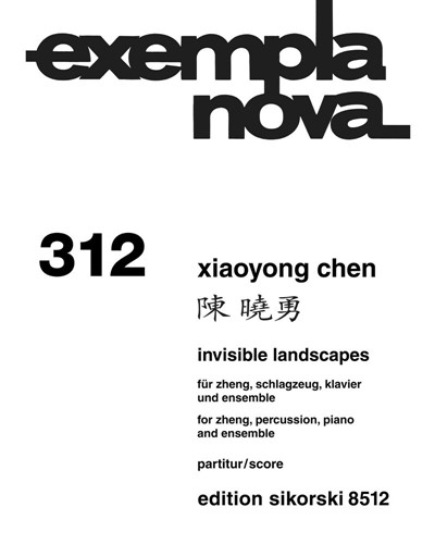 Invisible Landscapes — 陈晓勇