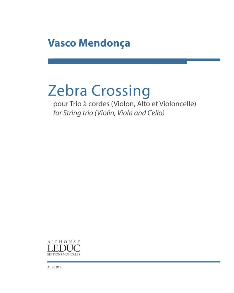 Zebra Crossing — Vasco Mendonça