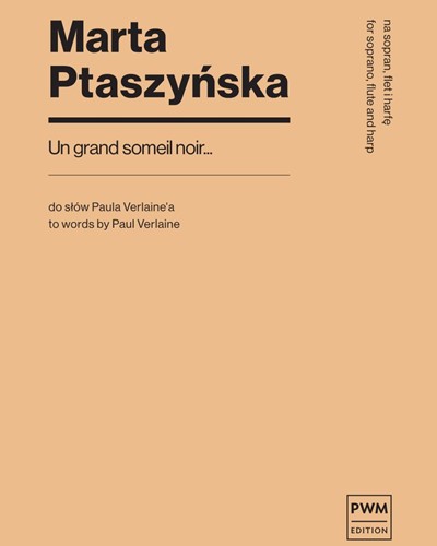 Un grand sommeil noir — Marta Ptaszyńska