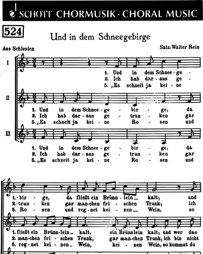 Und in dem Schneegebirge — Walter Rein